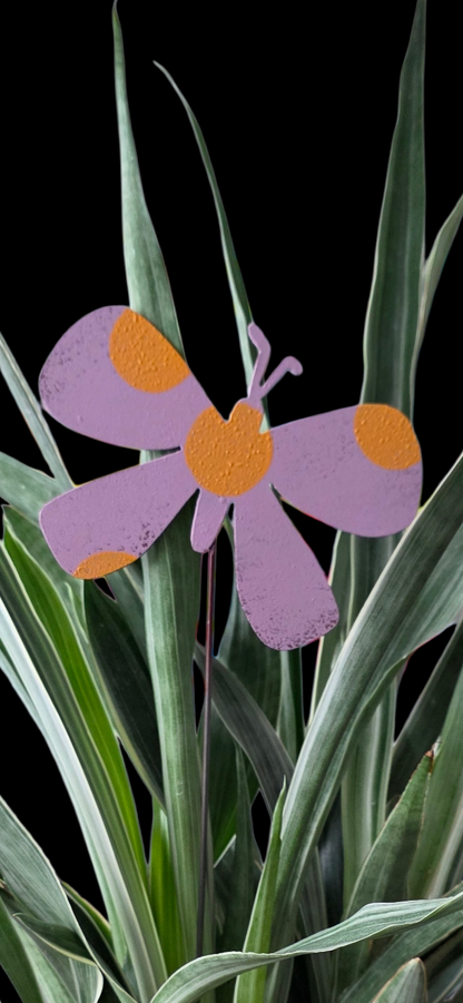 butterfly | hha vibes