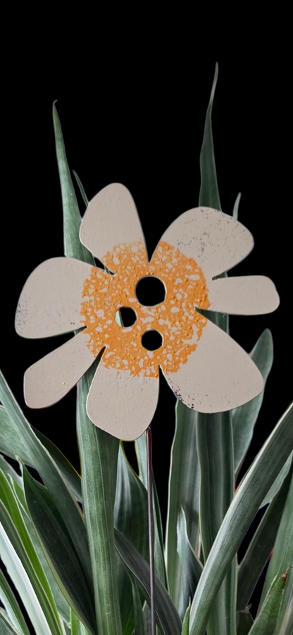 daisy flower | hha vibes