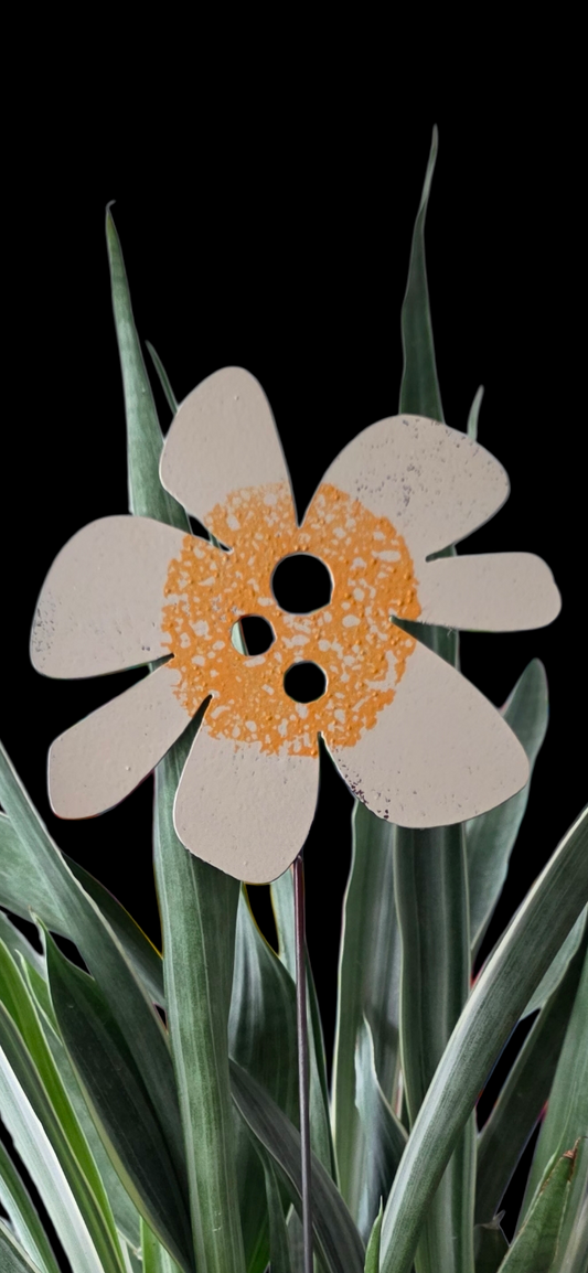 daisy flower | hha vibes