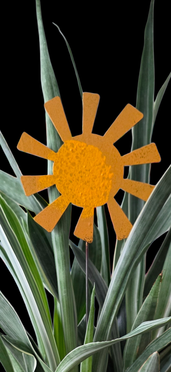 sunshine | hha vibes