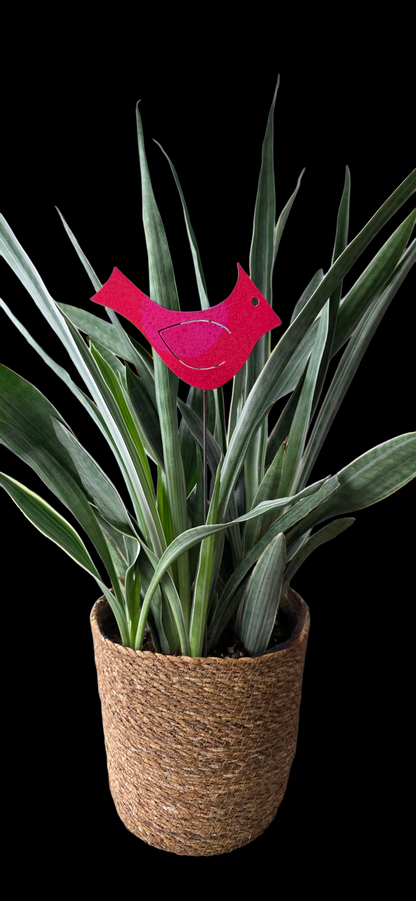 cardinal | hha vibes