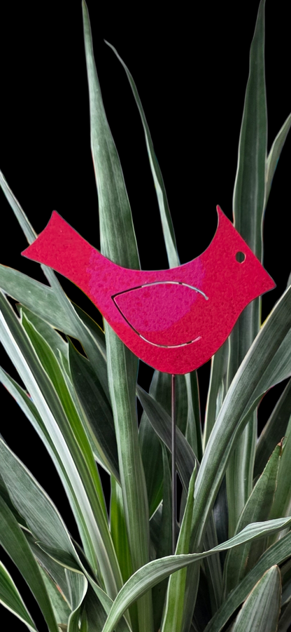 cardinal | hha vibes